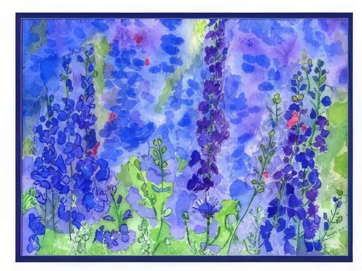 Blue Delphiniums