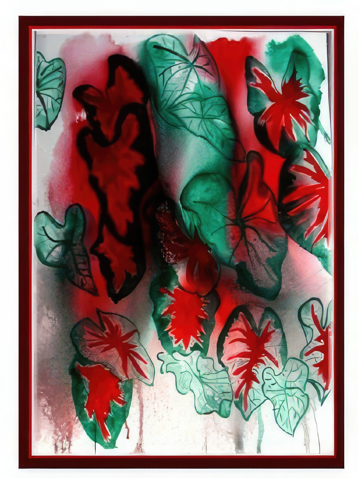 Caladium Leaves