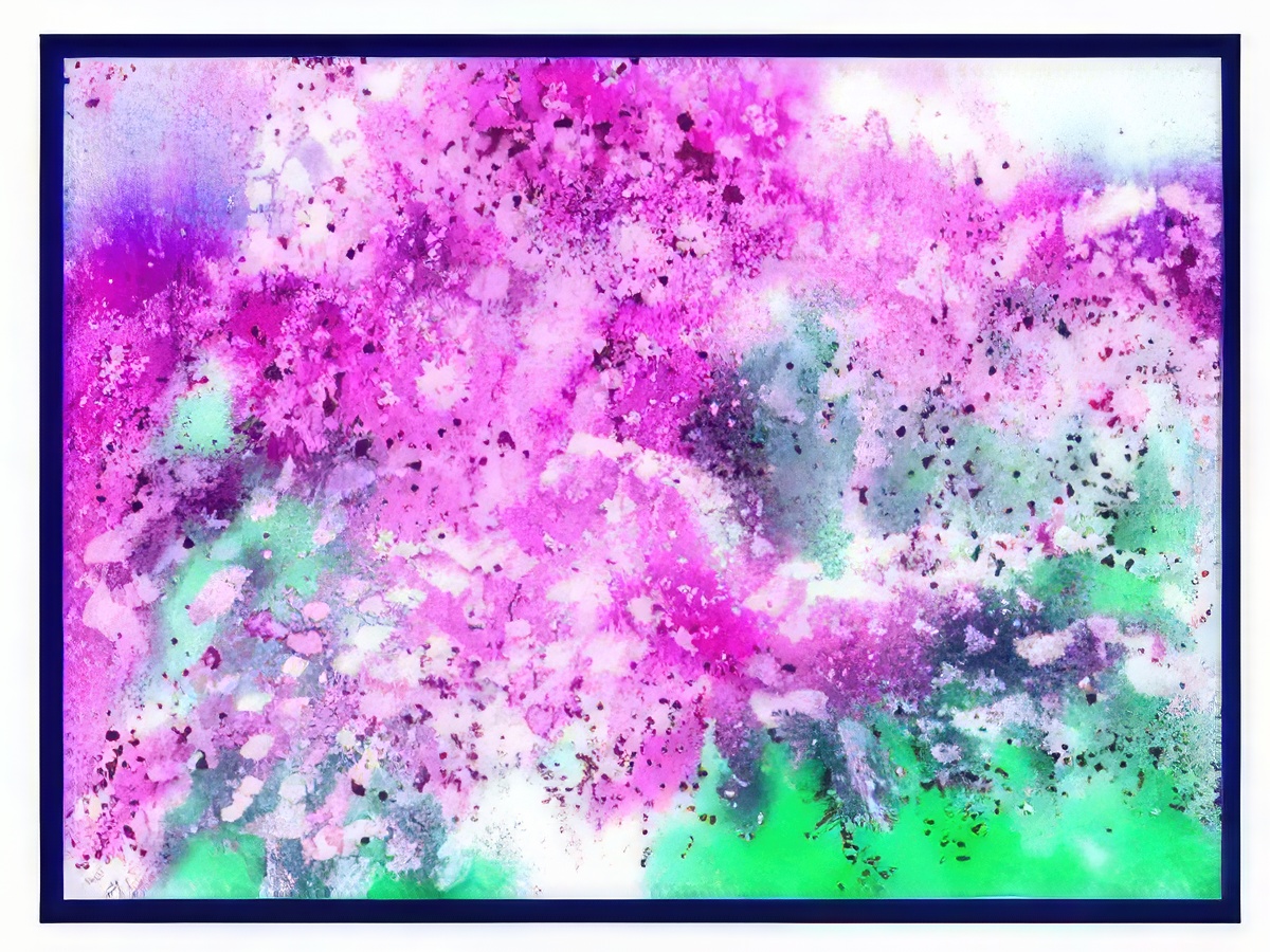 Cherry Blossoms