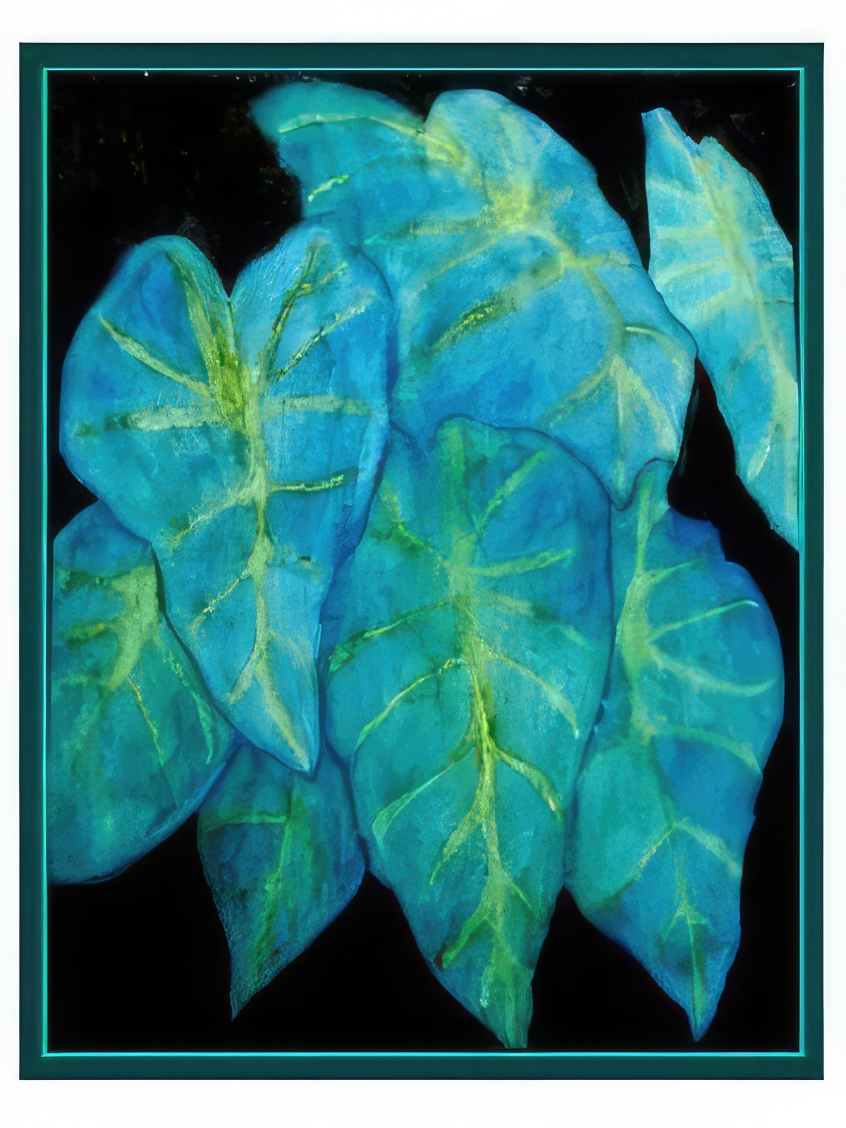 Elephant Ears