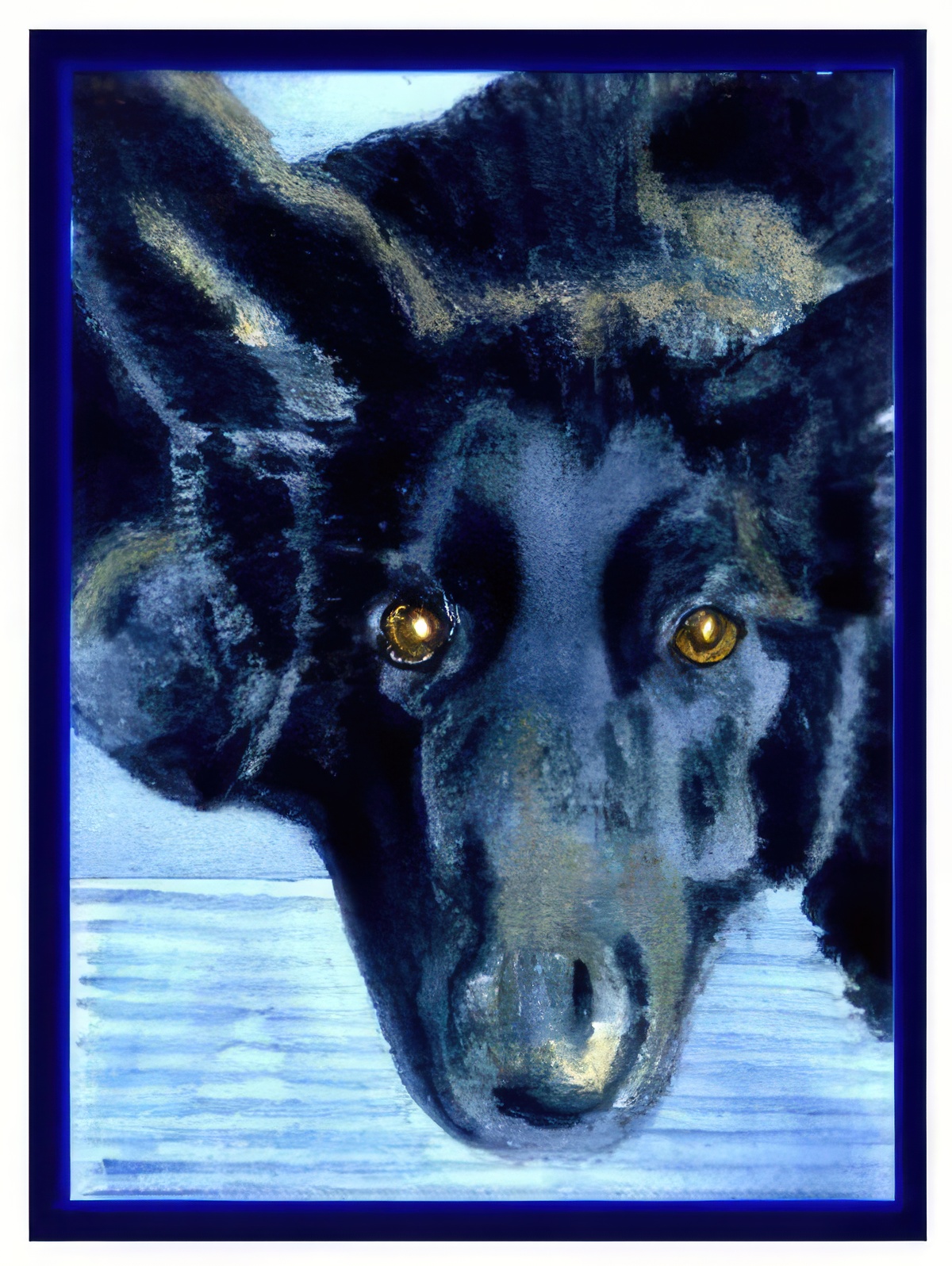 Lulu, My Younger Belgian Shepherd