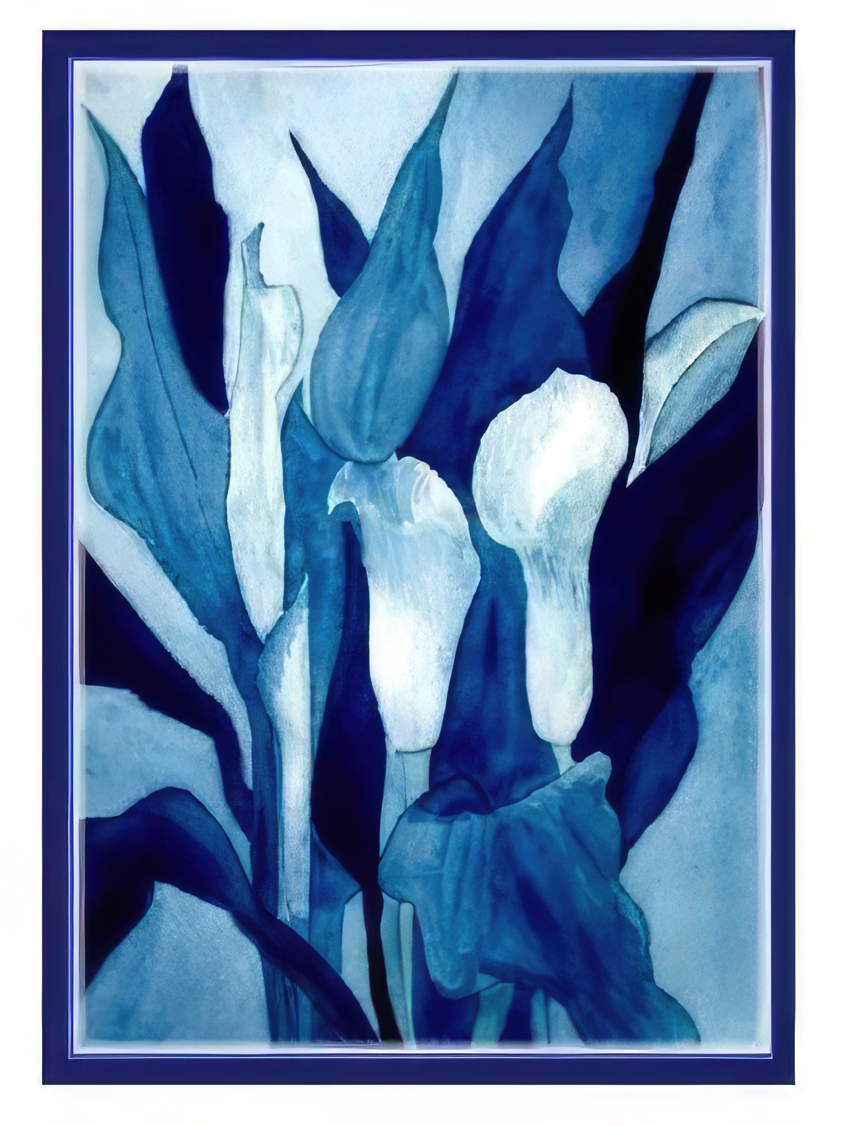 Monochrome Calla Lilies