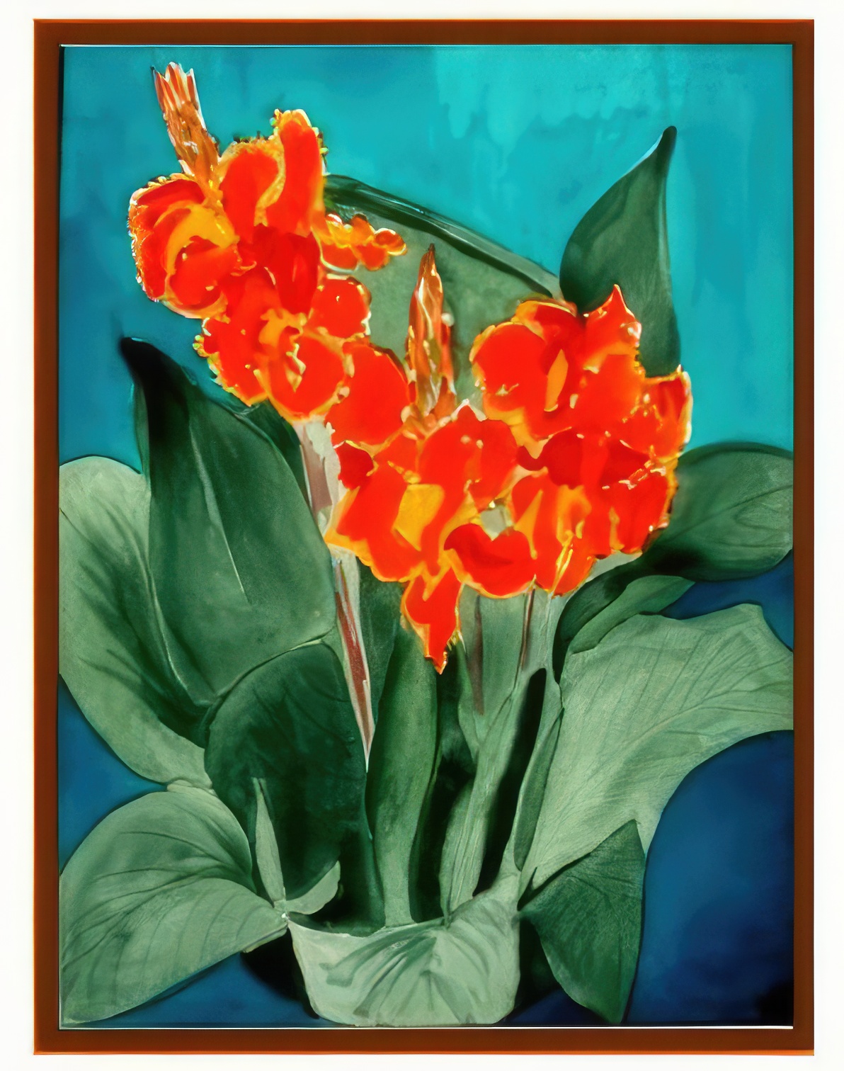 Orange Canna Lily