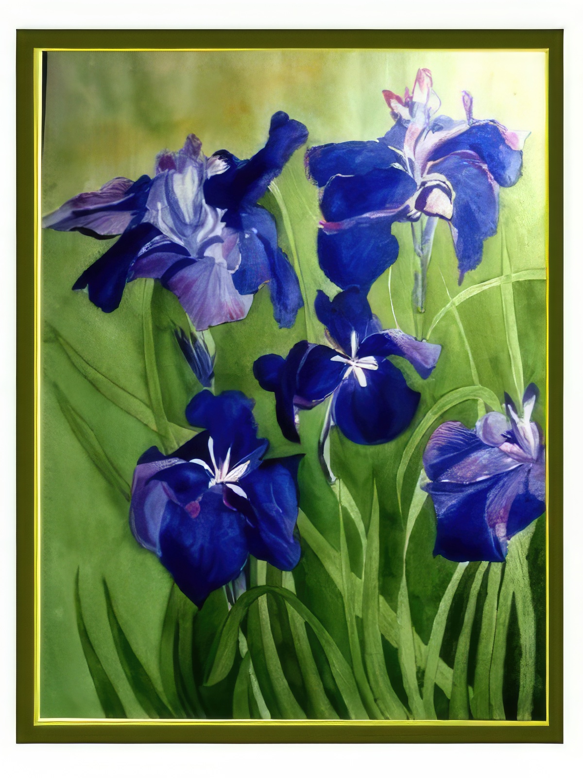 Purple Irises