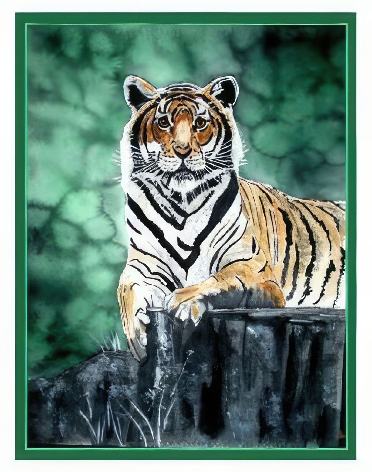 Bengal Tiger