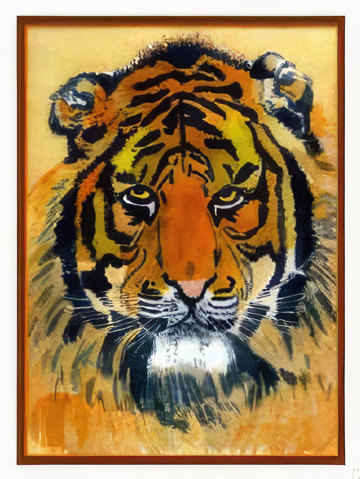 The Face of the Tiger