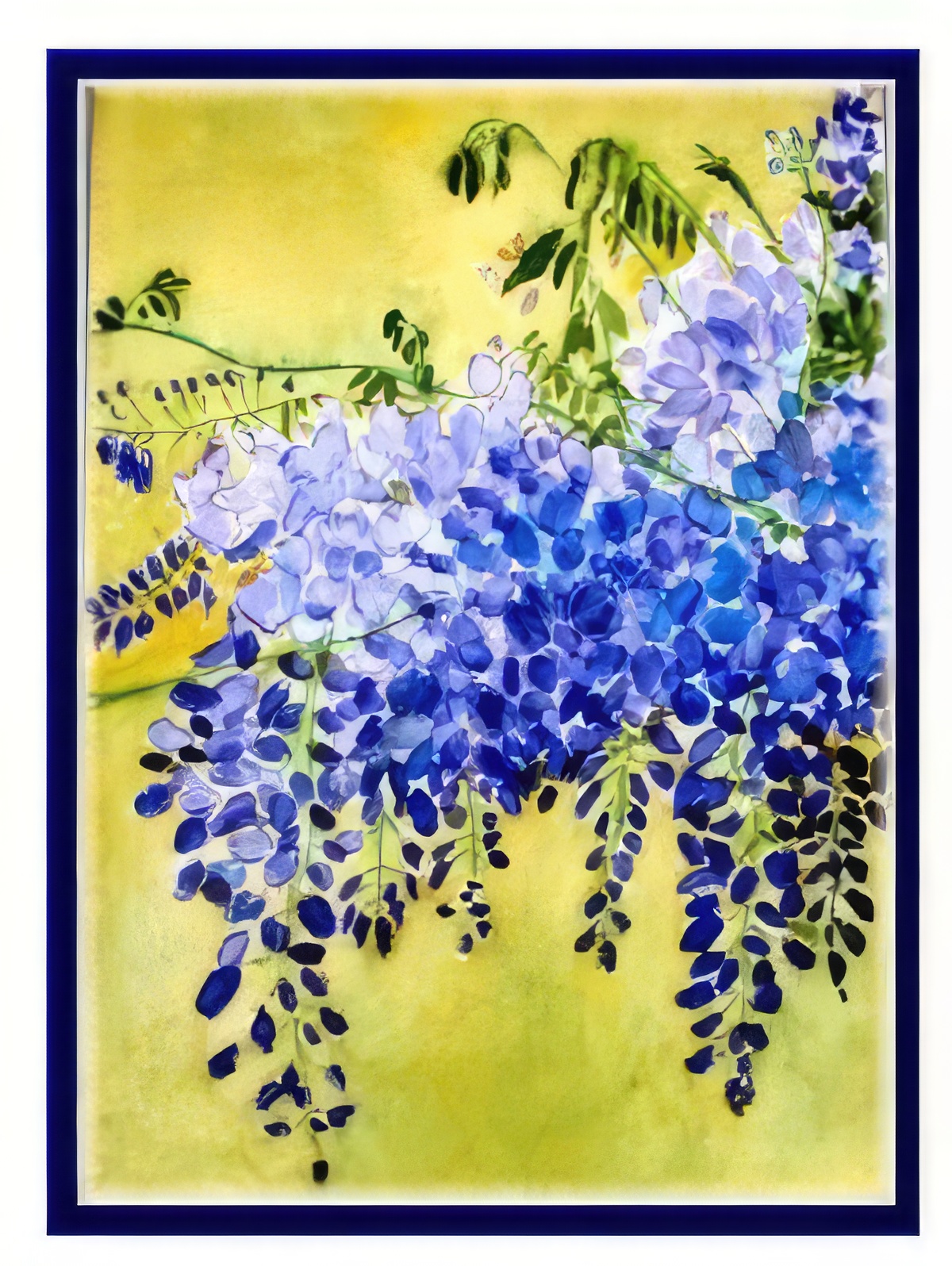 Chinese Wisteria