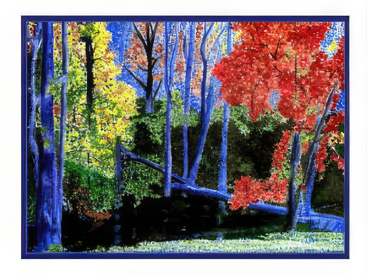 Autumn Scene