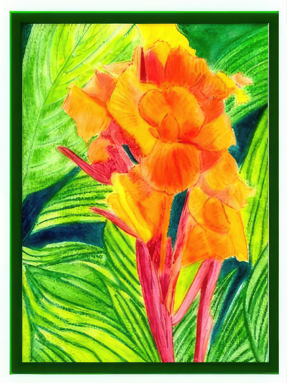 Bengal Tiger Canna