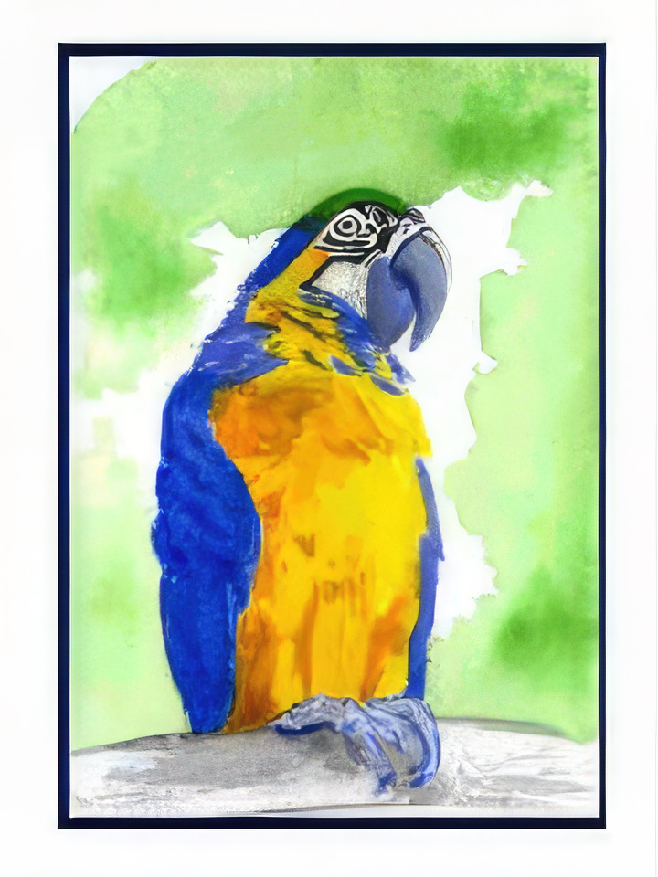 Blue and Gold Macaw
