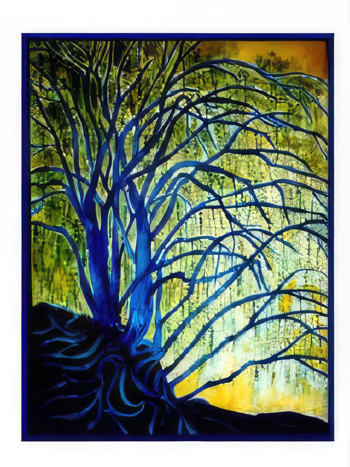 Blue Willow Tree