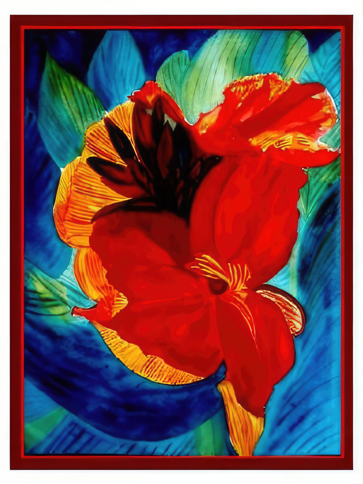 Red Canna Lily