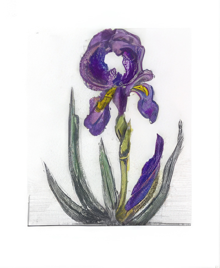 Iris Pastel Drawing