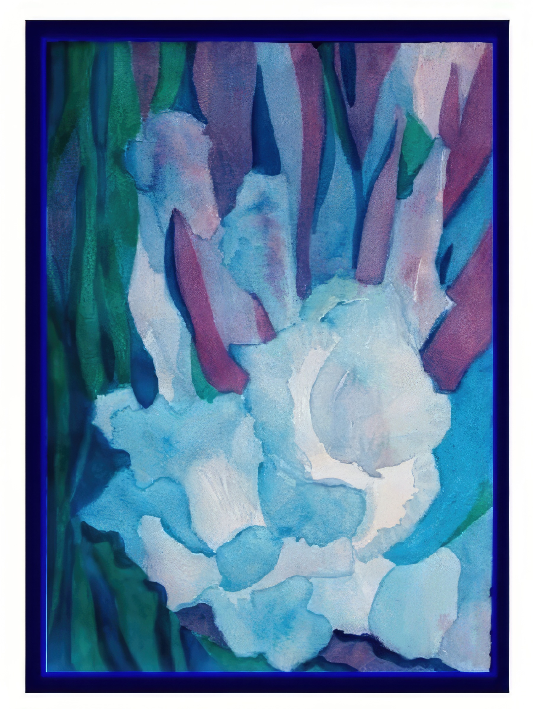 Blue Gladiolus