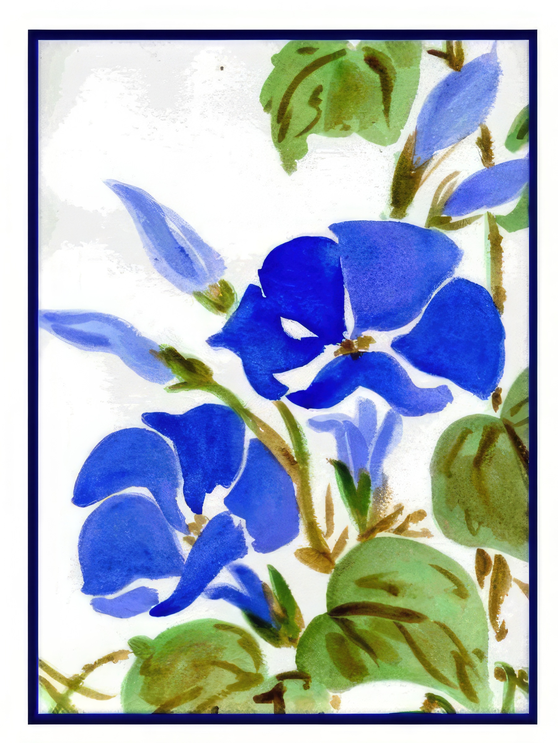 Morning Glories