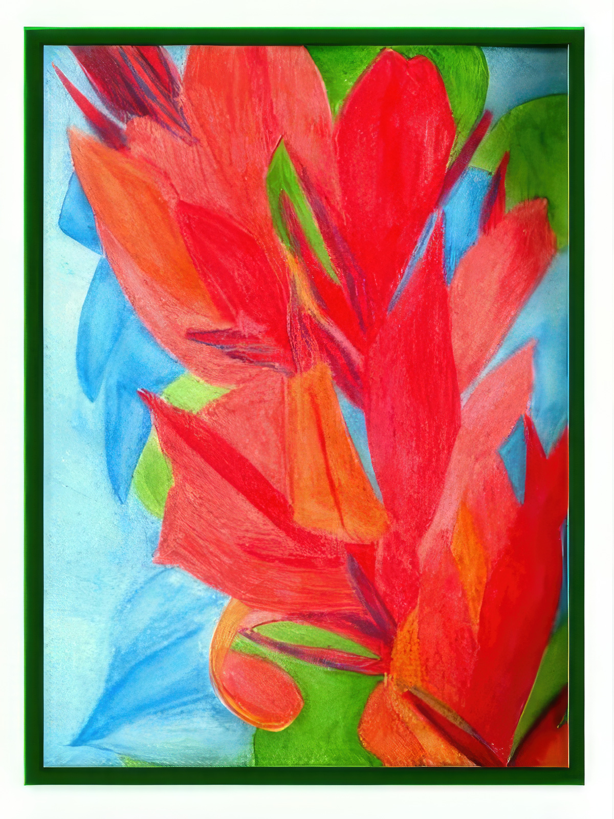 Orange Red Canna