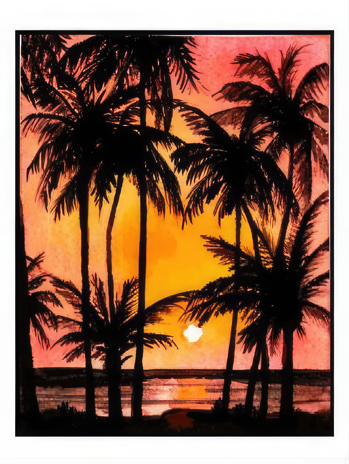 Palms at Sunset