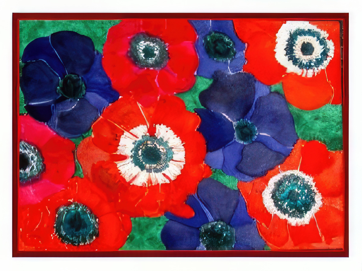 Red and Blue Anemones