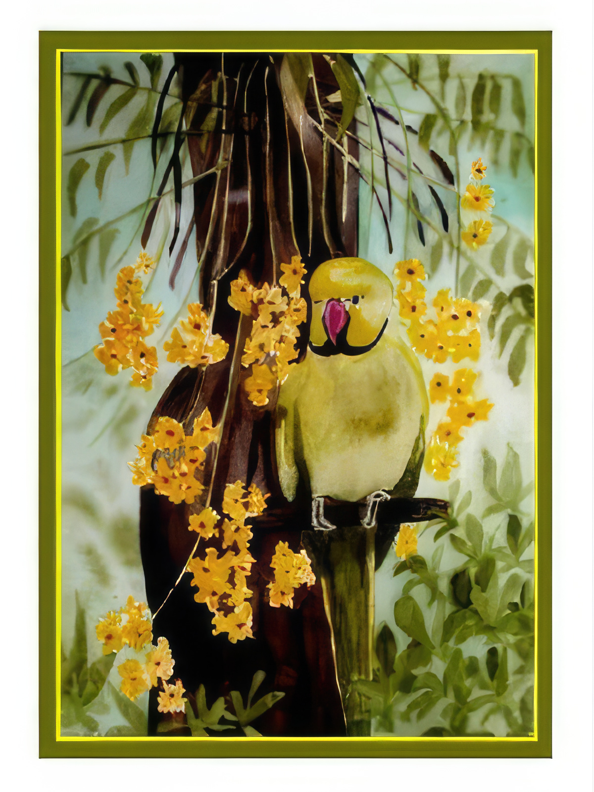Ring Necked Parakeet with Orchids