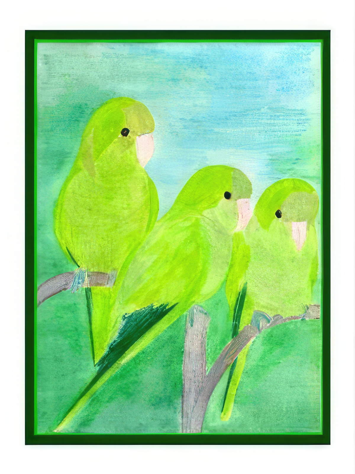 Three Monk Parrots