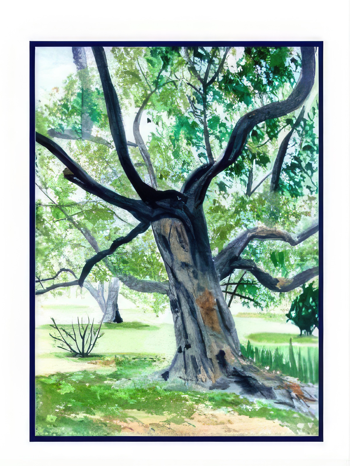Lone Tree