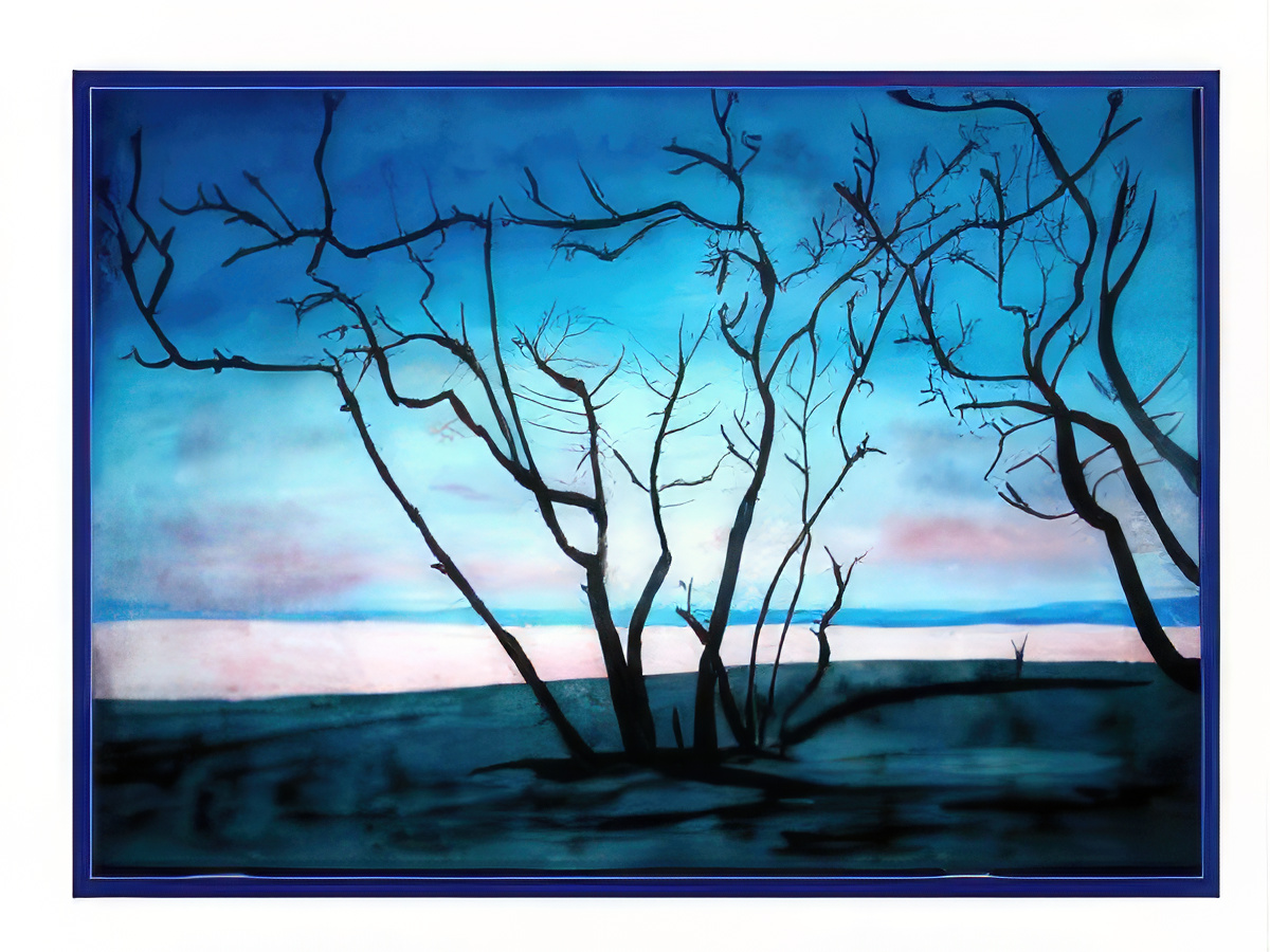 Tree on Beach at Sunset