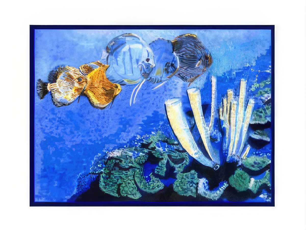 Tropical Fish