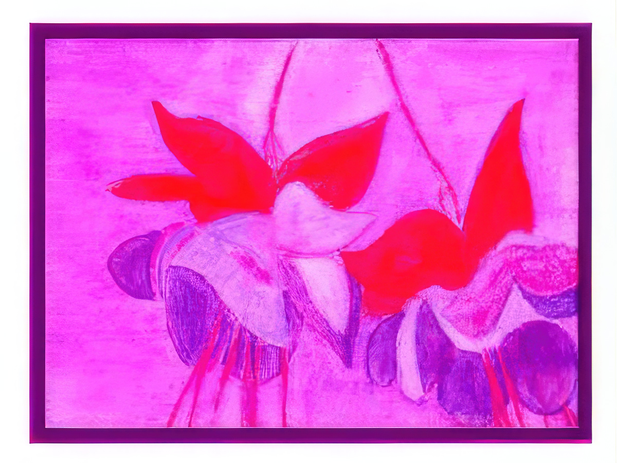 Two Fuschia Blossoms
