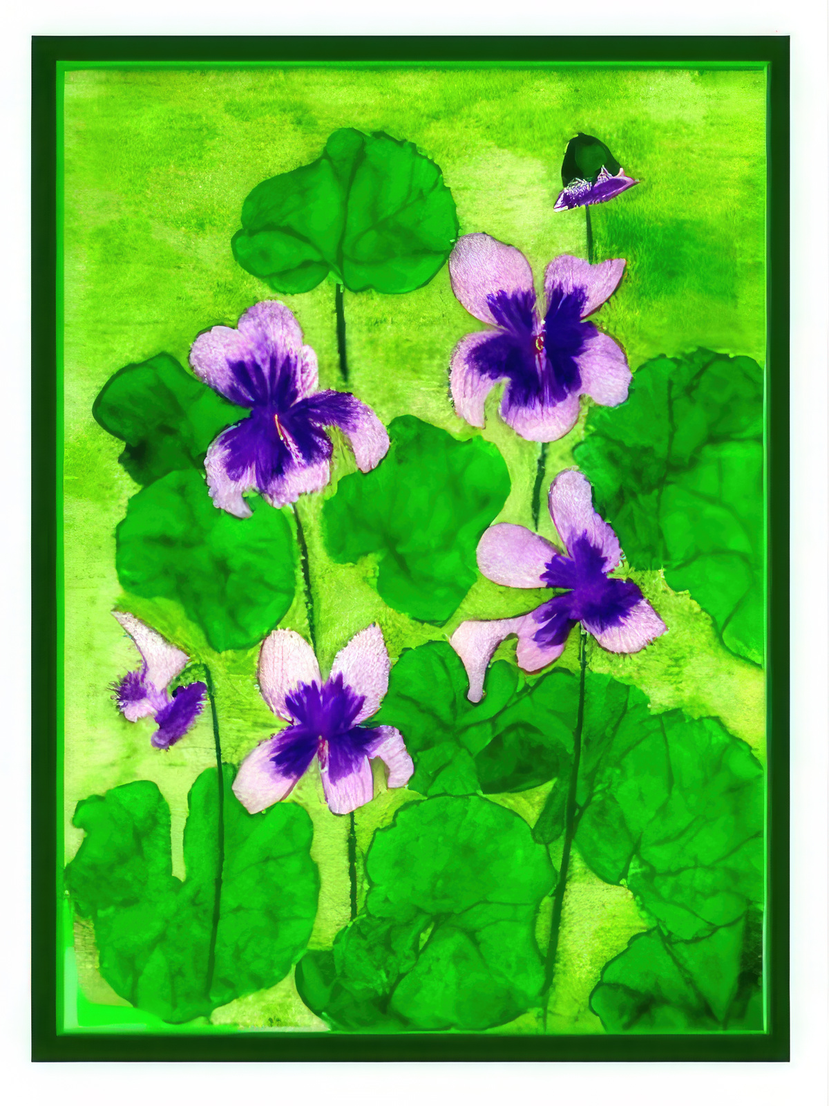 Shy Violets