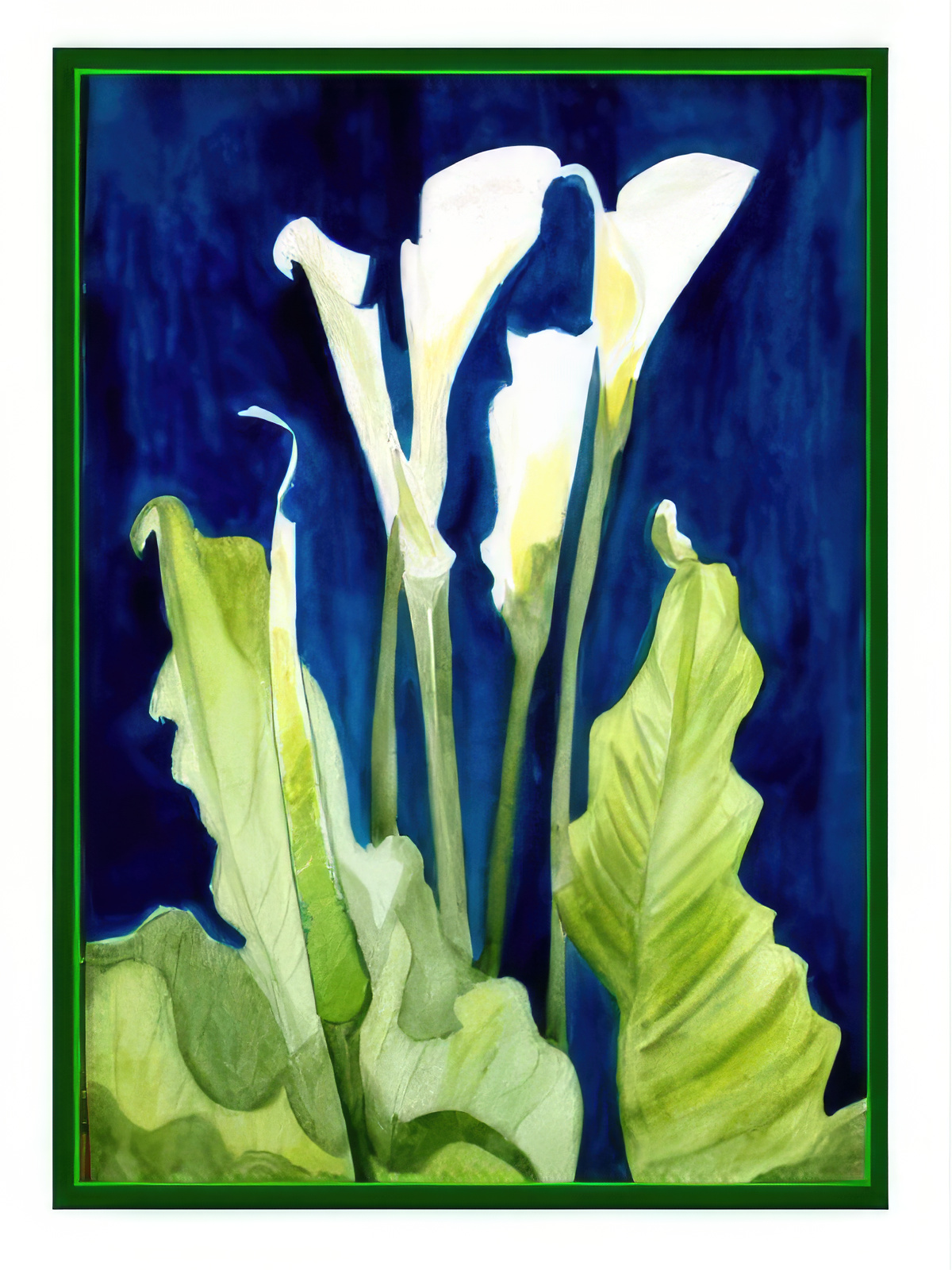 White Calla Lilies