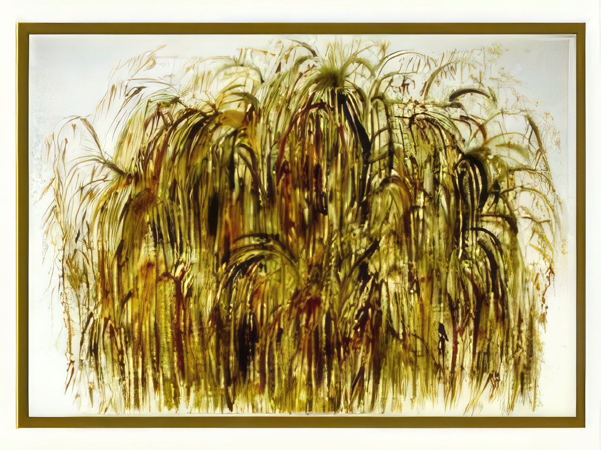Weeping Willow Tree
